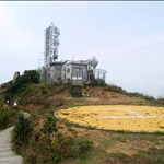 20050328 Island Walking in Ling Kok Shan 南丫島菱角山