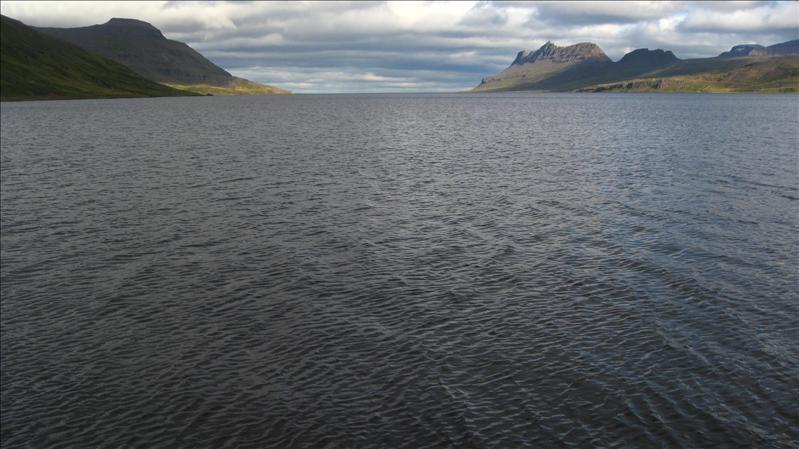 Island2008 1634.jpg