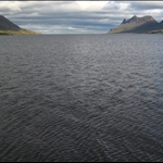 Island2008 1634.jpg
