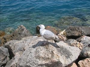 argentario con Aleksandra (22).jpg