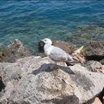 argentario con Aleksandra (22).jpg