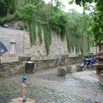 P1010146.JPG