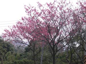 P1060375.JPG