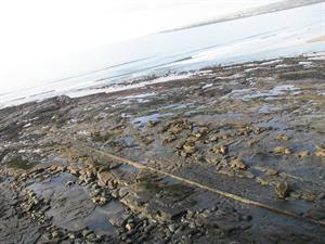 IMG_0046.JPG