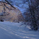 SAM_0482.JPG