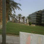 IMG00167-20110417-1703.jpg