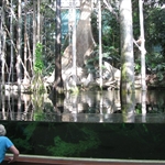... we saw the underwater forest..