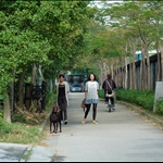 客家圍 Hakka Wai