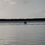 DSC_4253.JPG