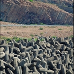 DSC_4045.jpg