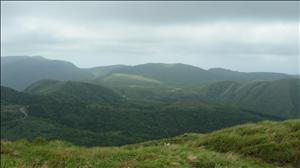 DSCN3591_0017.jpg