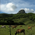 Kenting (June 2008)