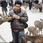 【Happy Traveller】2010春節日本關西之旅Day 2