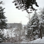 DSC02846.JPG