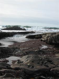 IMG_0086.jpg