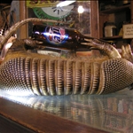 PICT3929.JPG