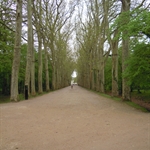 DSCN0095.JPG