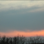 IMG_1109.JPG