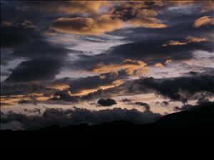 DSCN0603.jpg