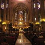 ... organ recital in the Cathedral ...