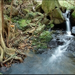 DSC_5440.jpg