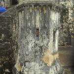 DSCN1385.JPG