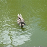 DSC01663.JPG