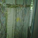 IMG00017-20110102-1642.jpg