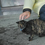 20120226-DSC_3875.jpg