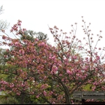 Image00006.jpg