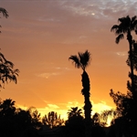 Scottsdale Sonnenuntergang