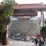 2010.01.29黑面琵鷺