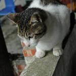 20120226-DSC_3879.jpg