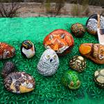 DSC00145.JPG