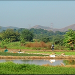 塱原濕地 Long Valley Wetland