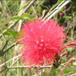 DSCN5479.jpg