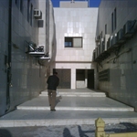 IMG00780-20101114-1600.jpg