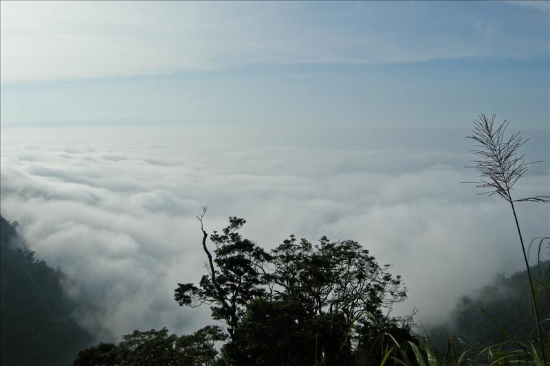 DSCN0467.jpg