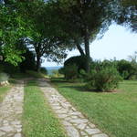 Summer 2011 213.JPG