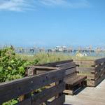 Along the Road to Venice - July 23, 2011