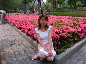 V106.JPG