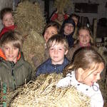 BILD0711.JPG