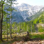 DSCN1776.JPG