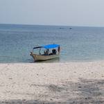 small_DSC_0340.jpg
