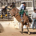 Cave Creek Rodeo 4-1-12 148.jpg