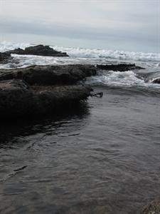 IMG_0095.jpg