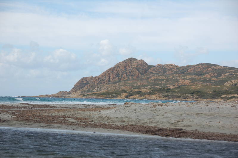 DSC_0348.JPG