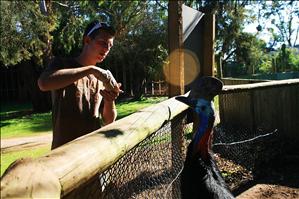 Wildlife Park - Phillip Island