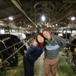 cow farm•Suko•Aline