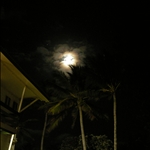 DSCN1150.jpg